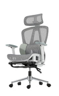 B1 Ergonomic Chairs