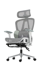 B1 Ergonomic Chairs