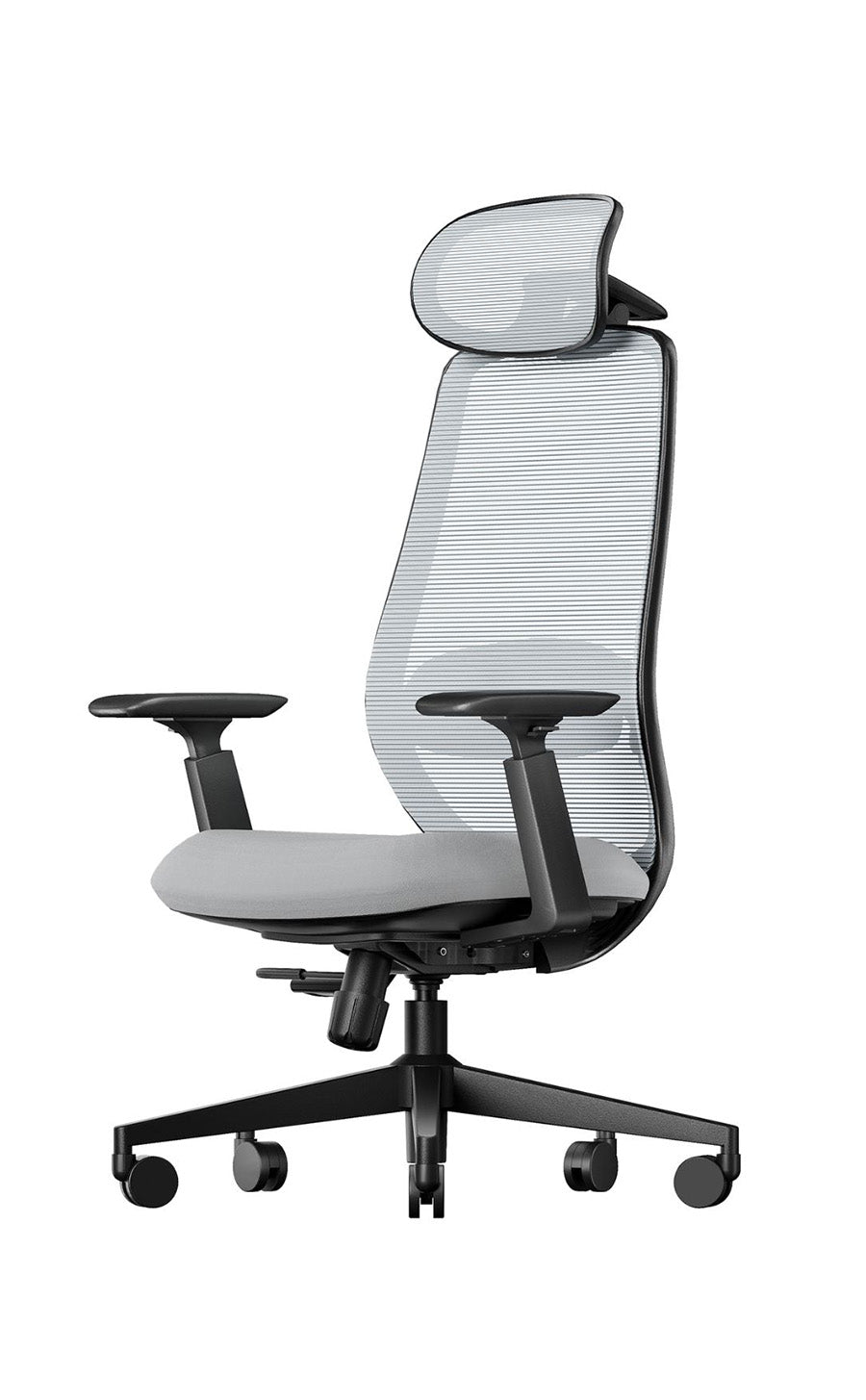 D1 Ergonomic Chair