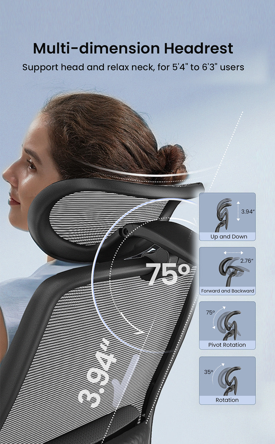D1 Ergonomic Chair