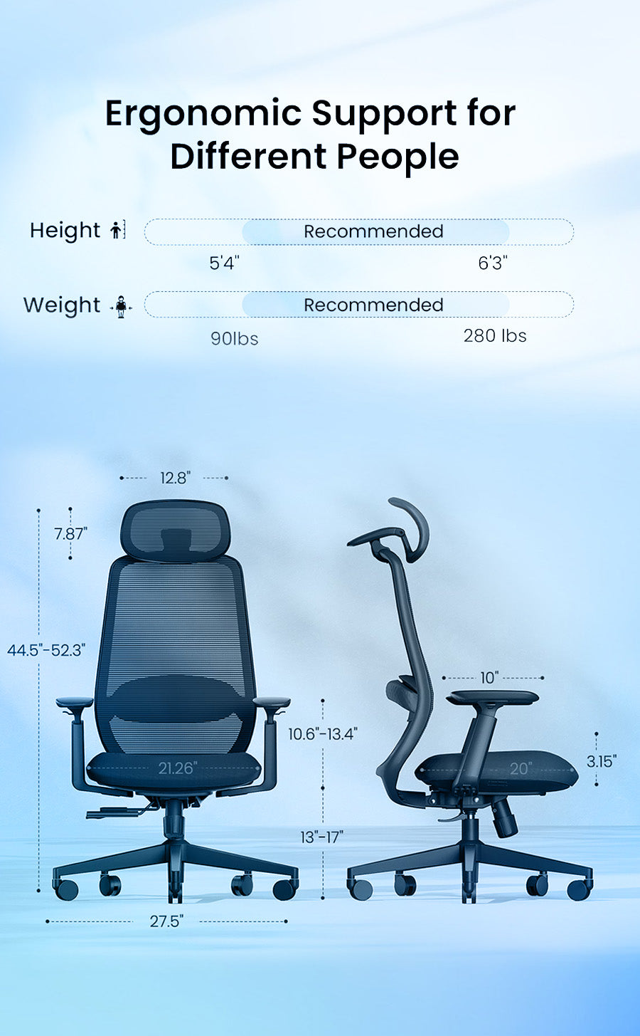 D1 Ergonomic Chair