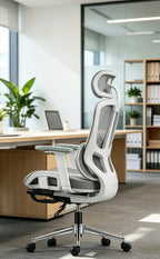 B1 Ergonomic Chairs