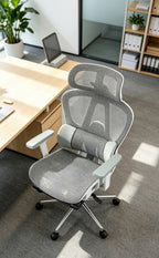 B1 Ergonomic Chairs