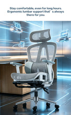 B1 Ergonomic Chairs
