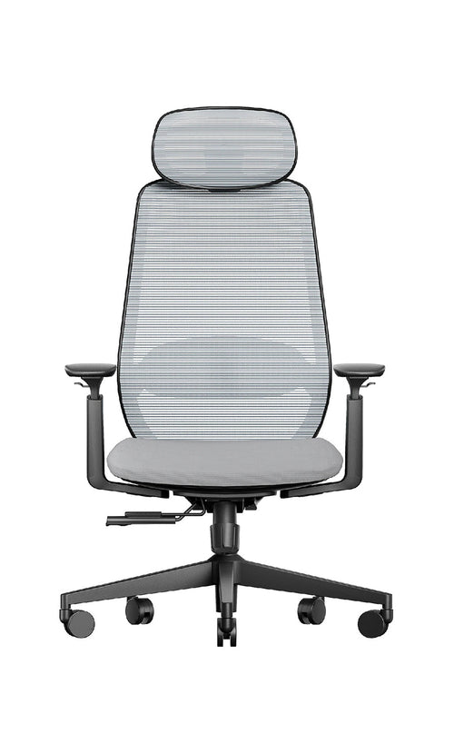 D1 Ergonomic Chair