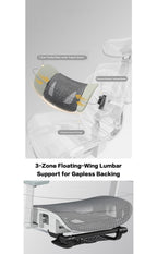 B1 Ergonomic Chairs
