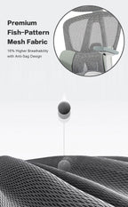 B1 Ergonomic Chairs
