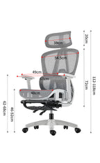 B1 Ergonomic Chairs